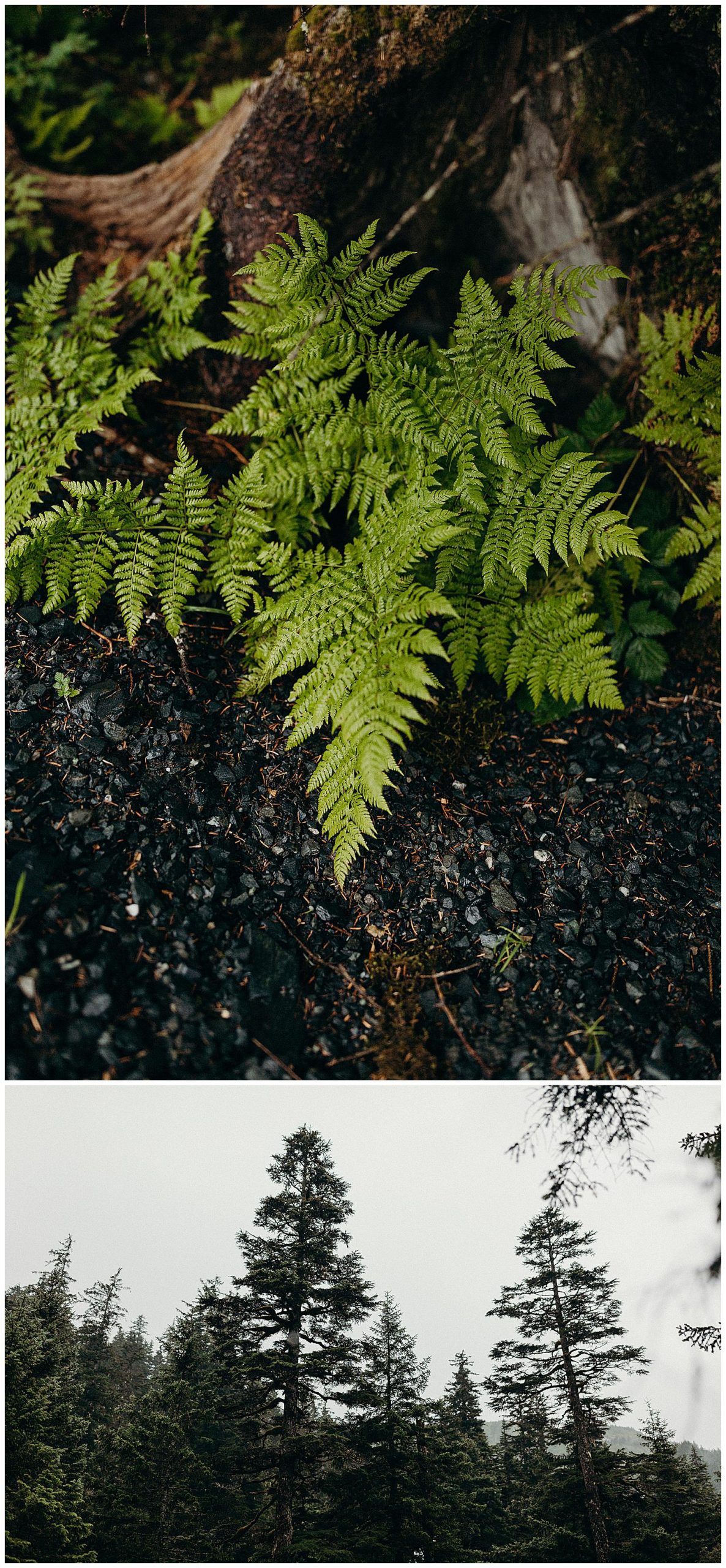 whittier alaska elopement