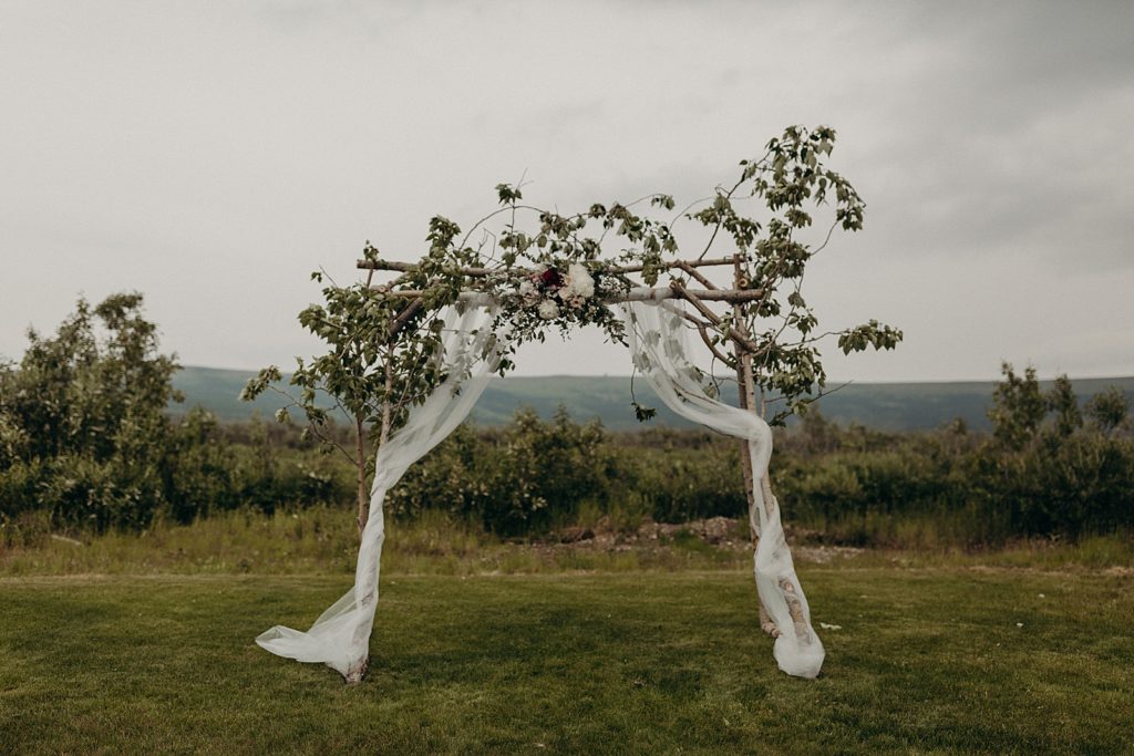 Detail shot of tree branch with veil