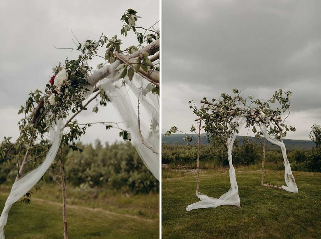 Detail shot of tree branch with veil